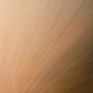 Meet your Posher, Willem